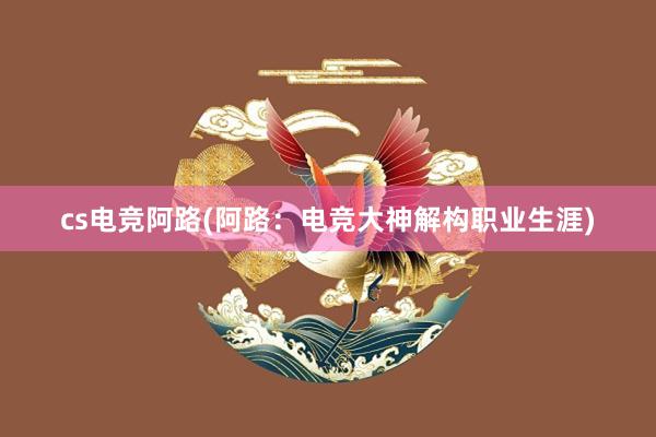 cs电竞阿路(阿路：电竞大神解构职业生涯)