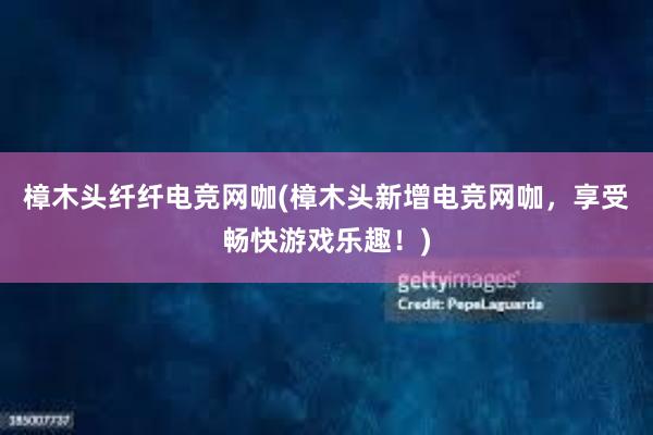 樟木头纤纤电竞网咖(樟木头新增电竞网咖，享受畅快游戏乐趣！)