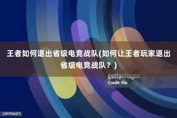 王者如何退出省级电竞战队(如何让王者玩家退出省级电竞战队？)