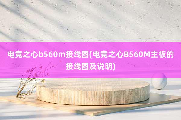 电竞之心b560m接线图(电竞之心B560M主板的接线图及说明)