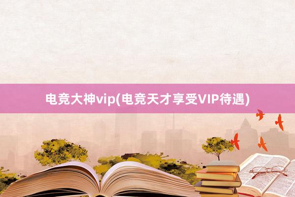 电竞大神vip(电竞天才享受VIP待遇)