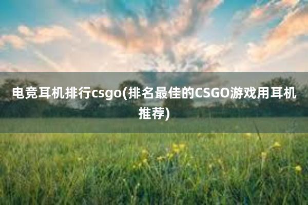 电竞耳机排行csgo(排名最佳的CSGO游戏用耳机推荐)