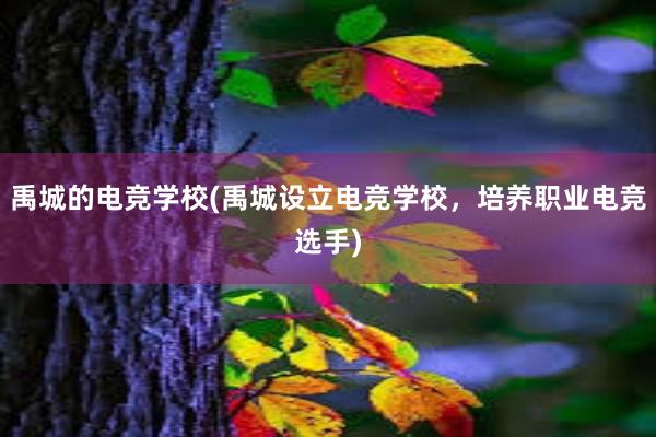 禹城的电竞学校(禹城设立电竞学校，培养职业电竞选手)