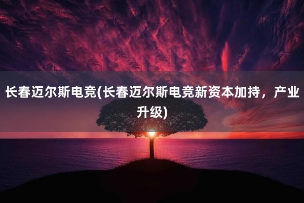 长春迈尔斯电竞(长春迈尔斯电竞新资本加持，产业升级)