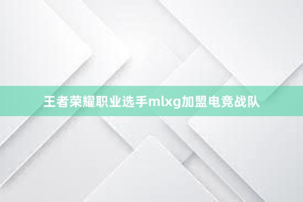 王者荣耀职业选手mlxg加盟电竞战队