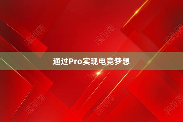 通过Pro实现电竞梦想