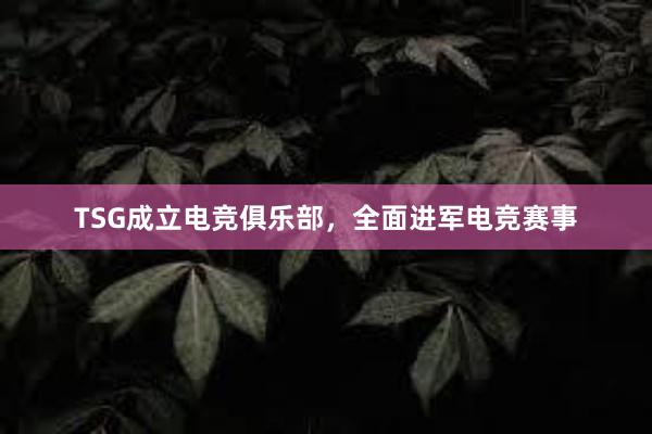 TSG成立电竞俱乐部，全面进军电竞赛事