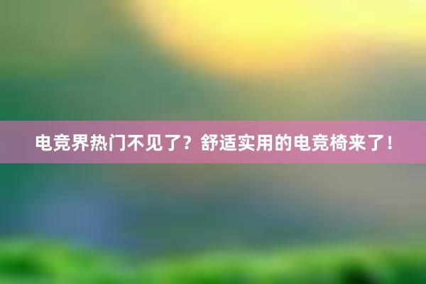 电竞界热门不见了？舒适实用的电竞椅来了！