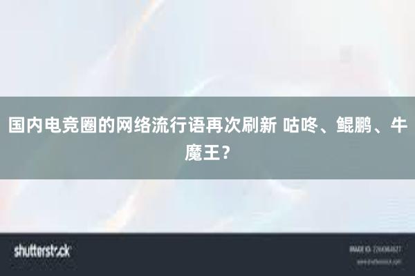 国内电竞圈的网络流行语再次刷新 咕咚、鲲鹏、牛魔王？