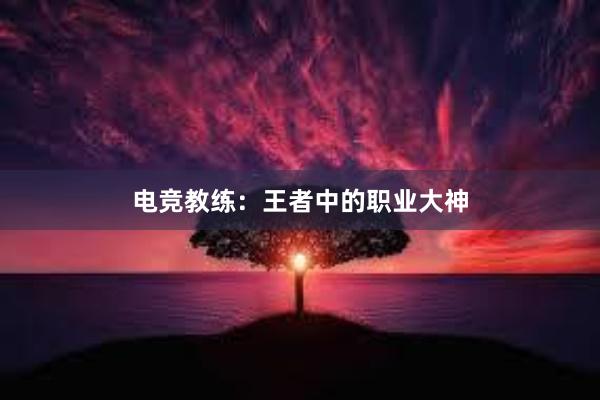 电竞教练：王者中的职业大神