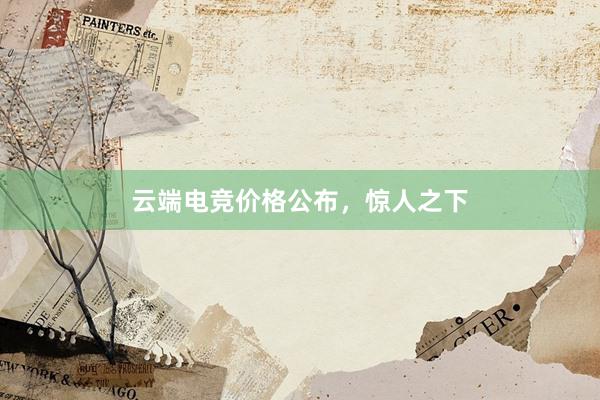 云端电竞价格公布，惊人之下