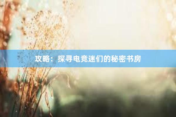 攻略：探寻电竞迷们的秘密书房