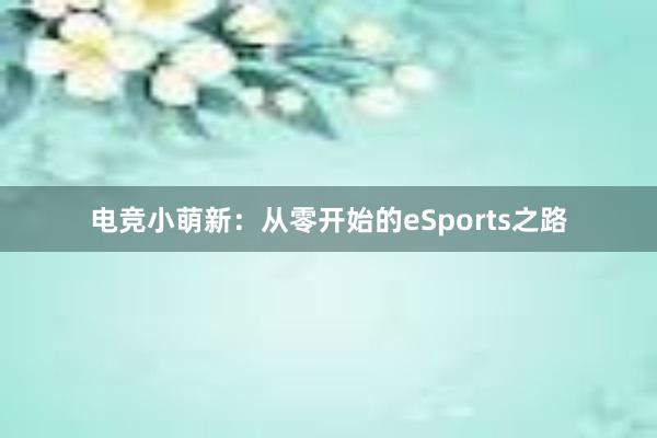 电竞小萌新：从零开始的eSports之路