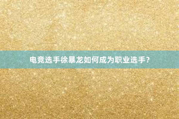 电竞选手徐暴龙如何成为职业选手？