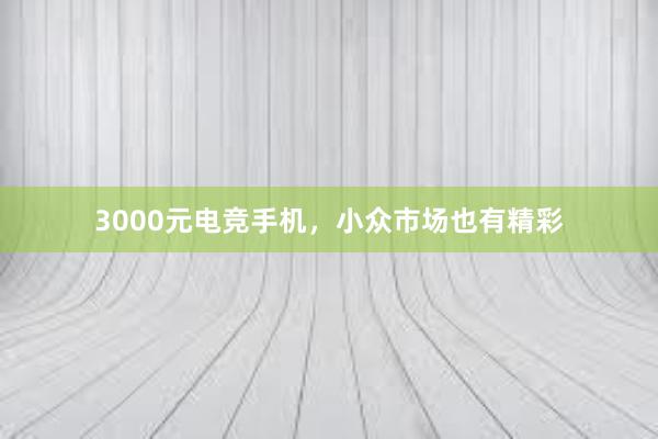 3000元电竞手机，小众市场也有精彩