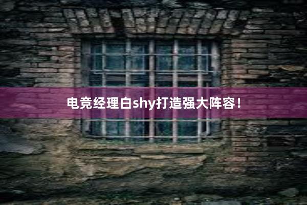 电竞经理白shy打造强大阵容！