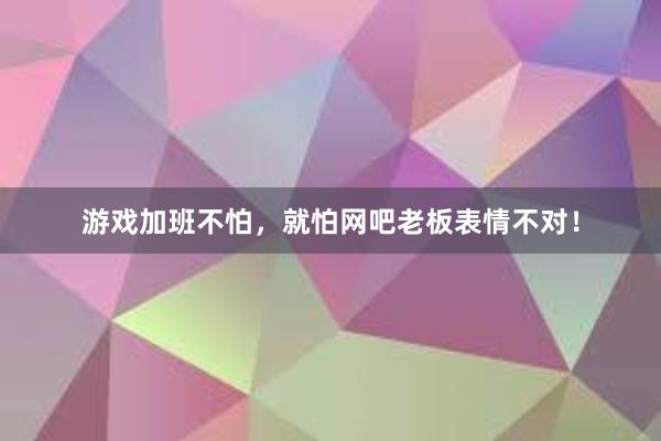 游戏加班不怕，就怕网吧老板表情不对！